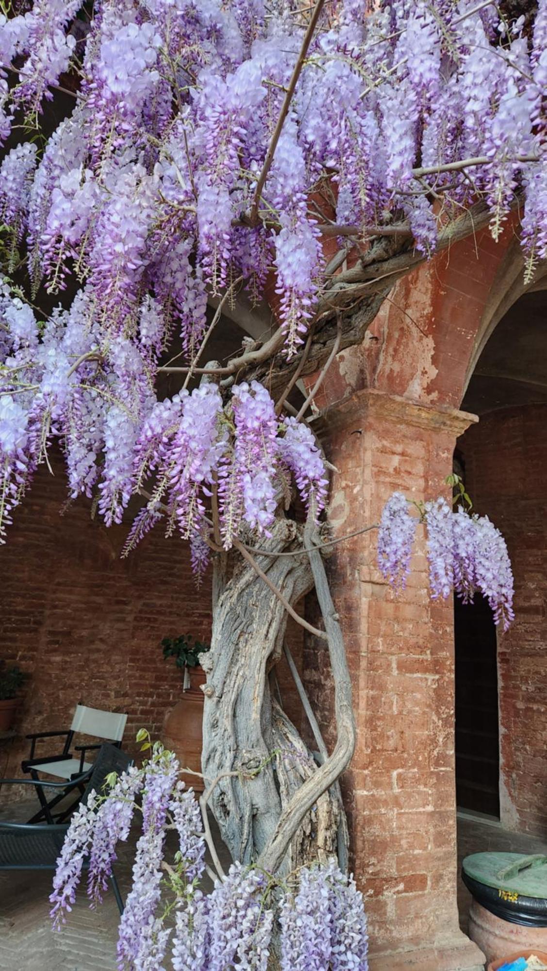 Vila Al Glicine Di Sant'Abondio Siena Exteriér fotografie