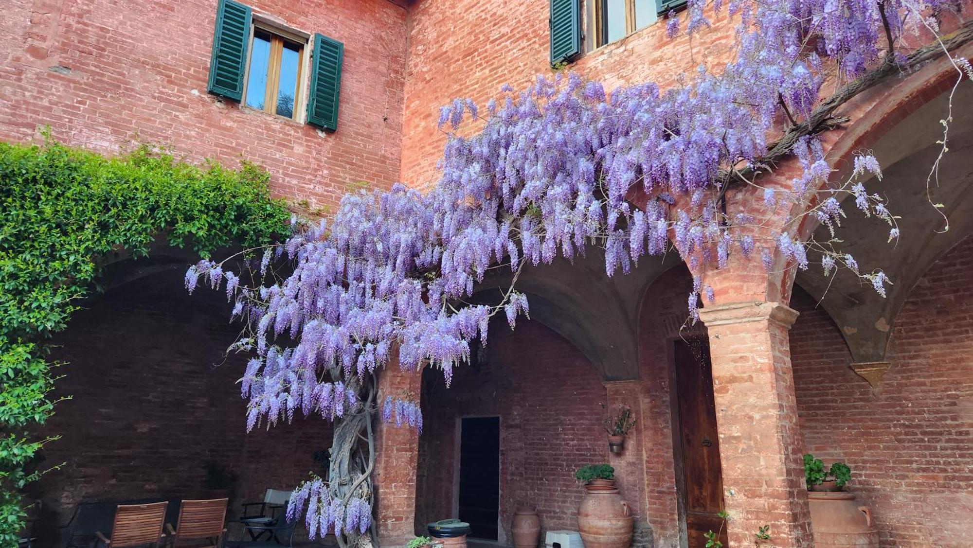 Vila Al Glicine Di Sant'Abondio Siena Exteriér fotografie