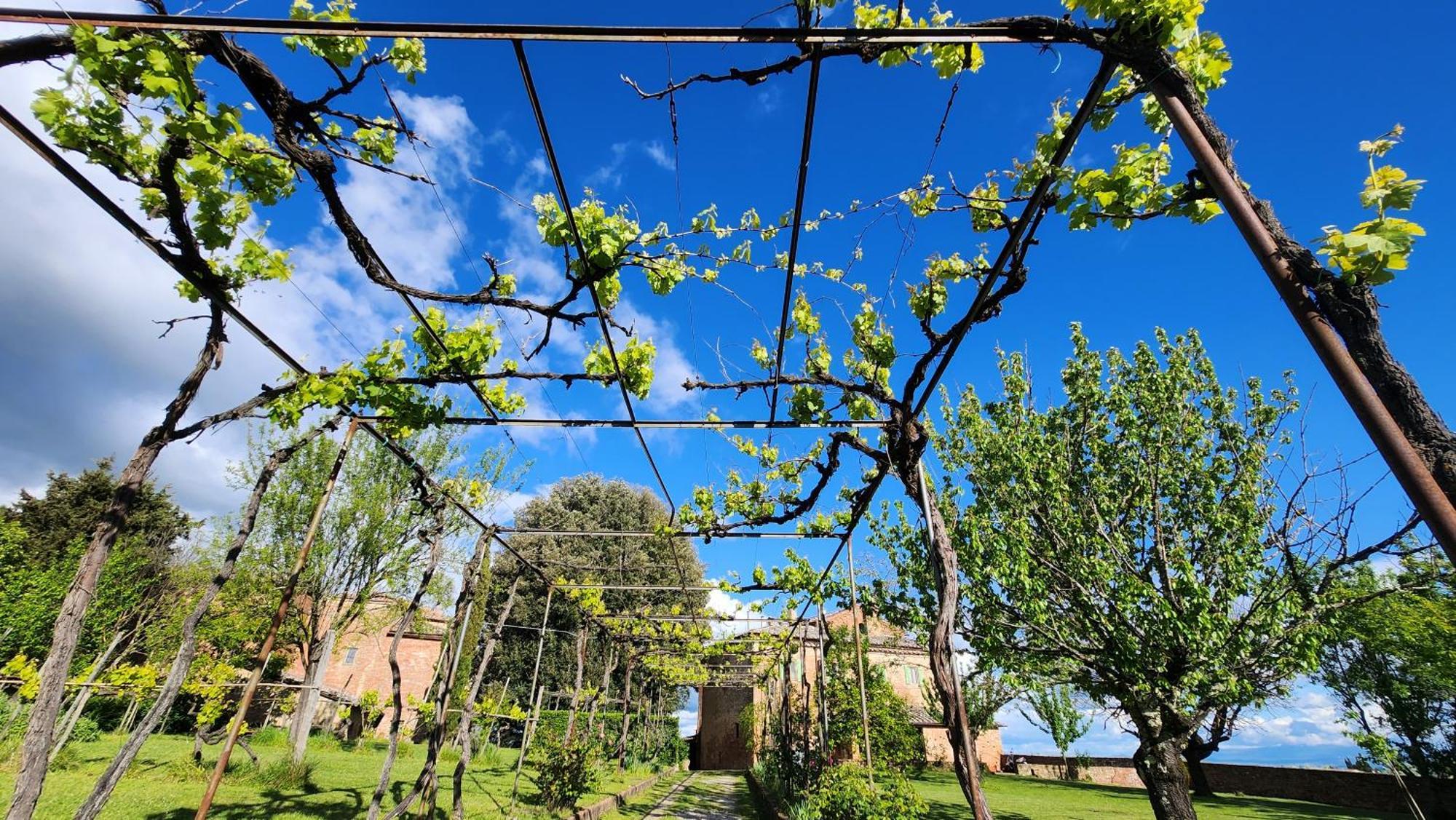 Vila Al Glicine Di Sant'Abondio Siena Exteriér fotografie
